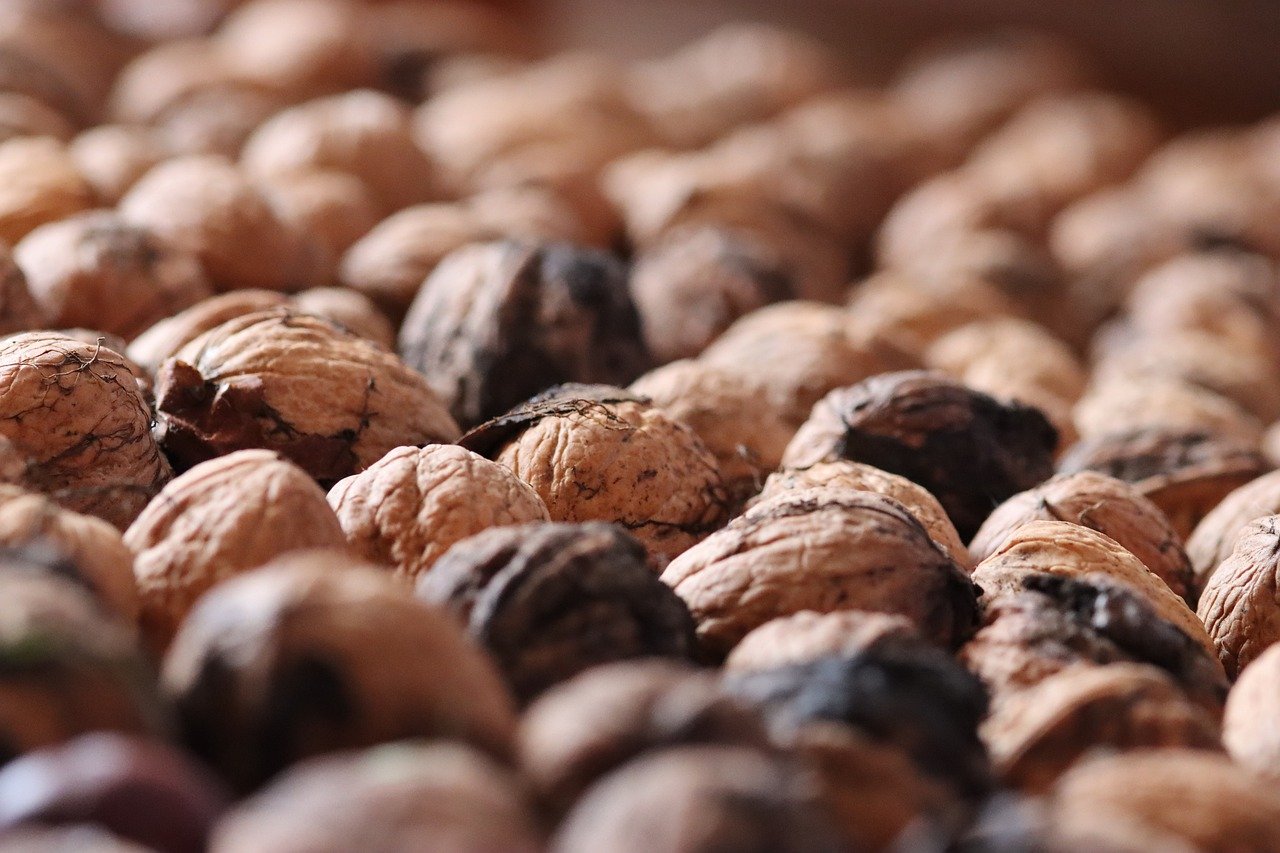 高希霸俱乐部2022限量版（20支/盒）：代理注册公司咨询公司