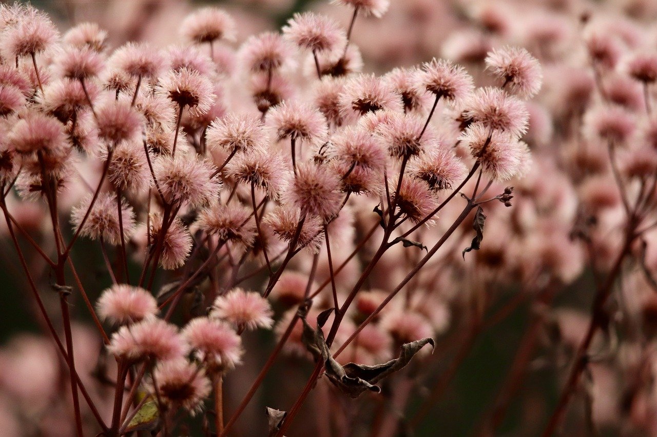 QQ实名账号：福利项目规划的账号怎么注册