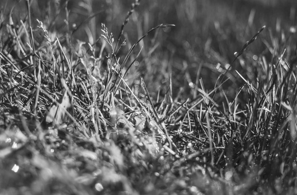 可乐2安驿平台如何注册账号